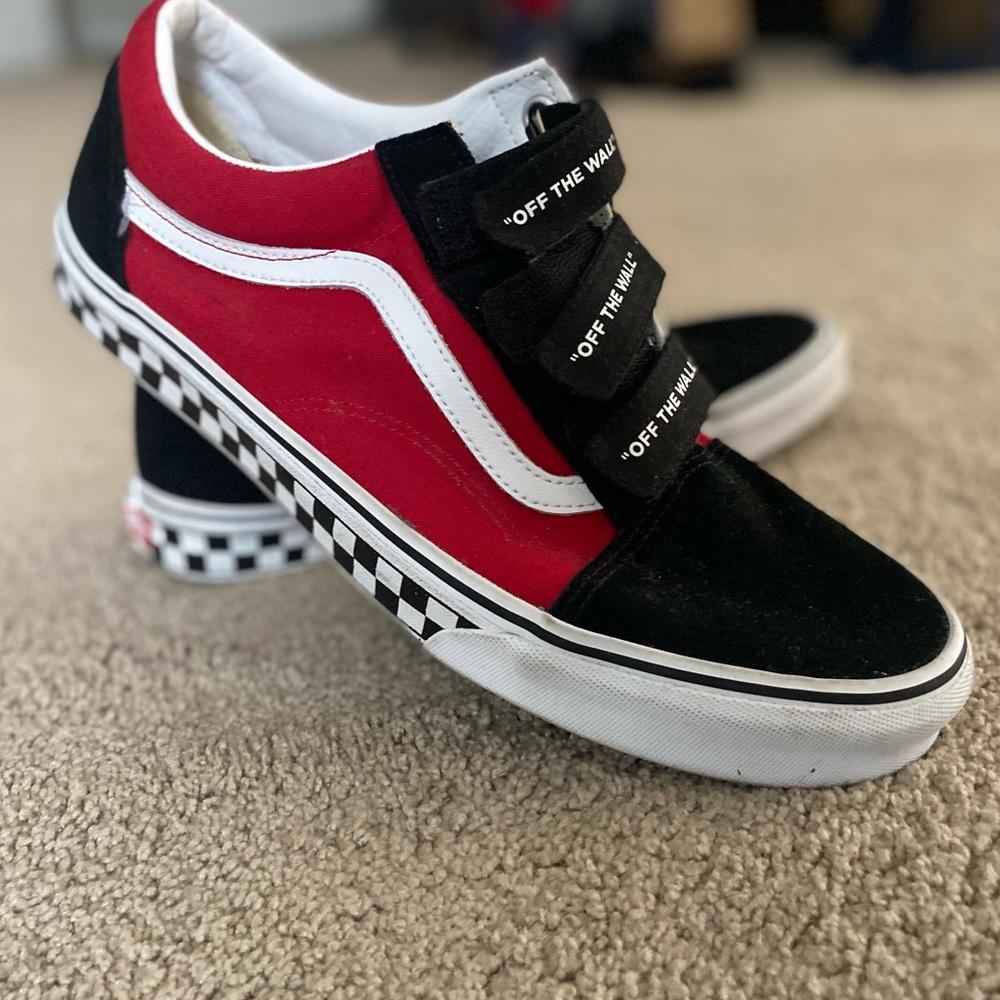 Vans Skater Style Sneakers